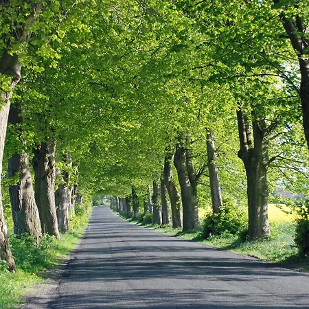 Im Ostseebad M アパート ゲーレン